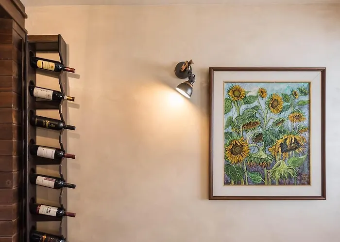 Panoramic Comfort & Vintage Designer